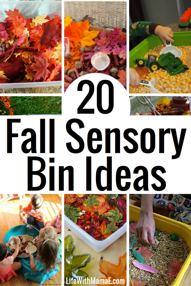 These FUN fall sensory bin ideas for toddlers and perschoolers will have them learning and practicing fine motor skills! My children LOVE sensory bins in our homeschool preschool and it keeps them occupied!